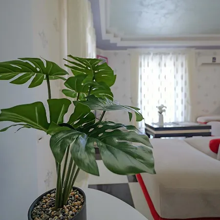Nanaj Apartment *